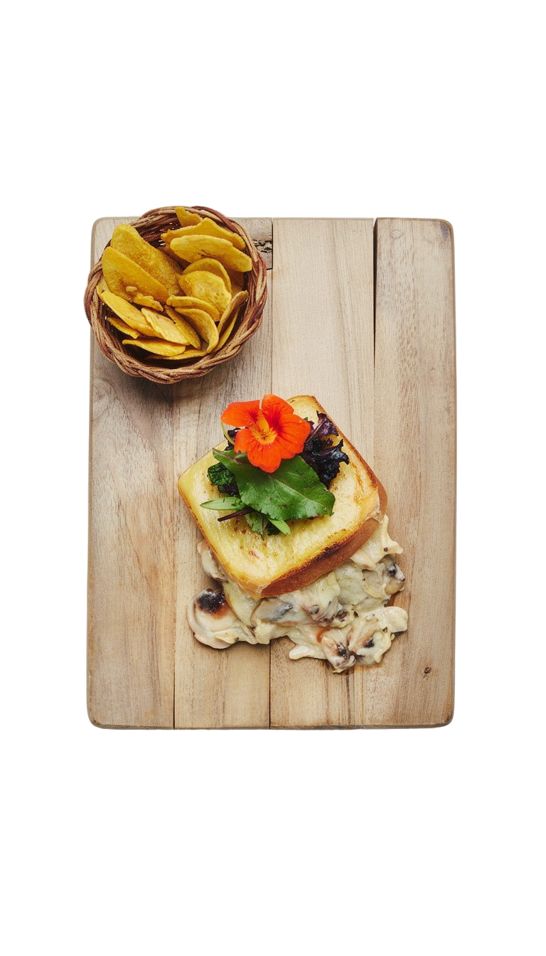 freepik__toma-como-referencia-la-composicin-y-ngulo-de-la-i__63249